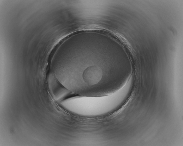 X0000111481457200907141207