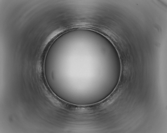 X0000111481458200907141207