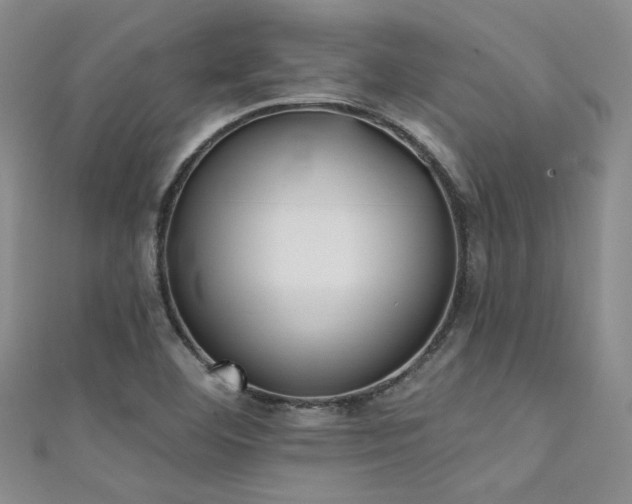 X0000111481460200907141207