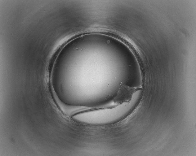 X0000111481461200907141207