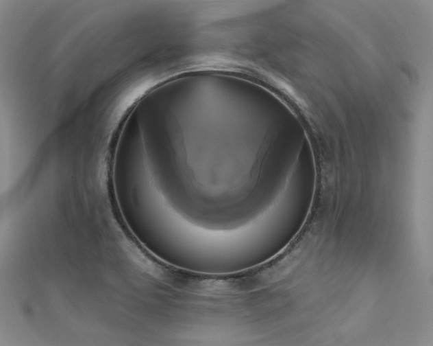 X0000111481463200907141207