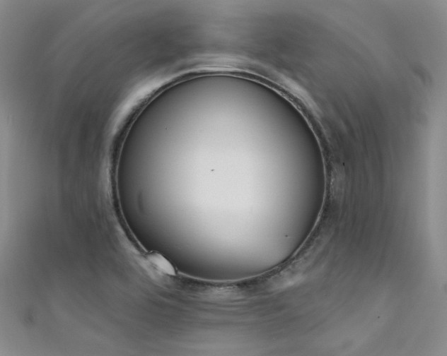 X0000111481464200907141207