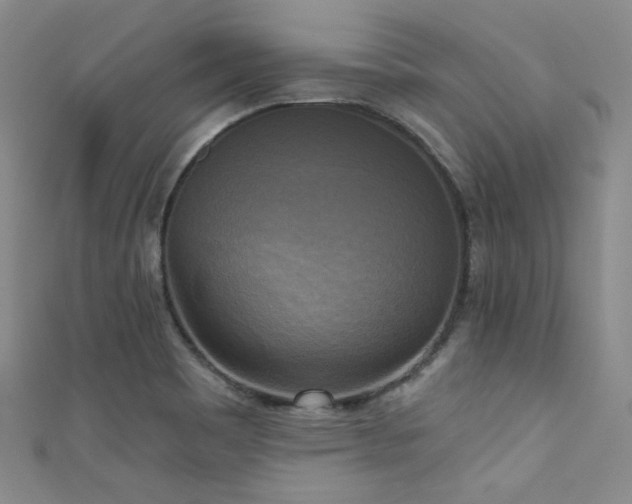 X0000111481465200907141207