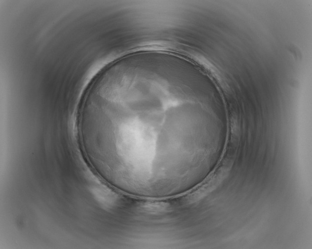 X0000111481466200907141207