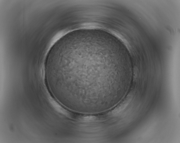 X0000111481467200907141207