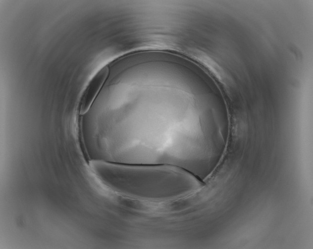 X0000111481468200907141207