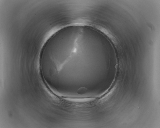 X0000111481469200907141207