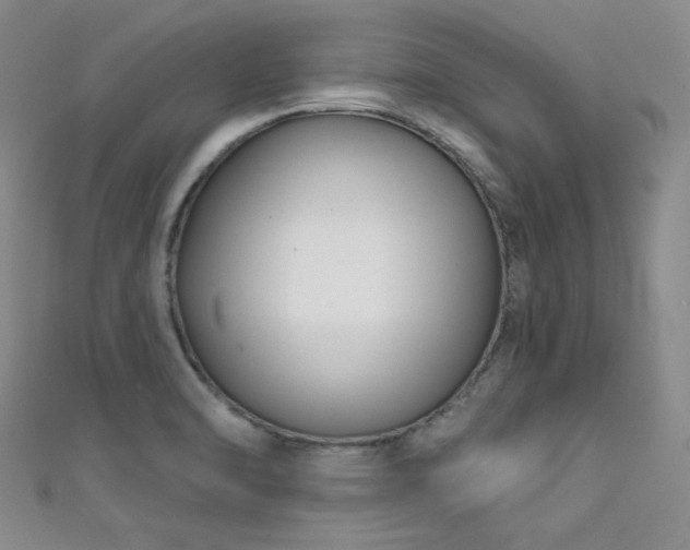 X0000111481470200907141207