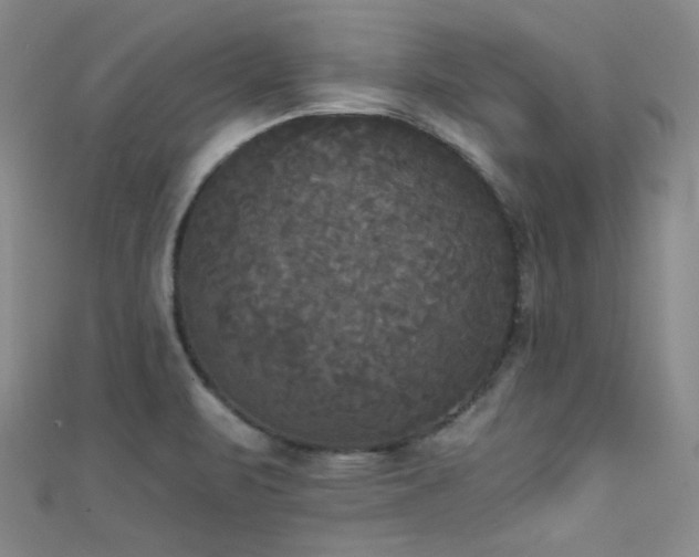 X0000111481471200907141207