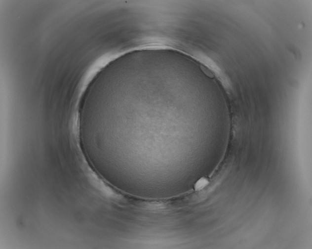 X0000111481472200907141207