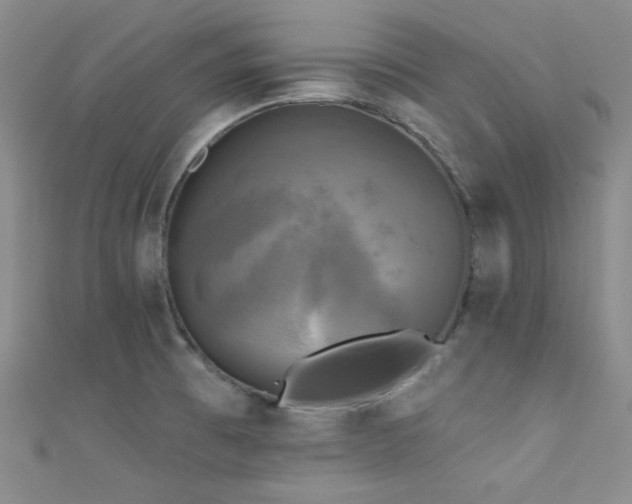 X0000111481473200907141207