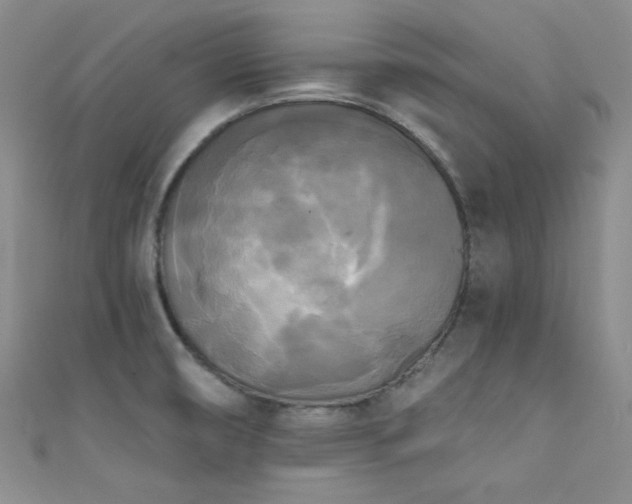 X0000111481474200907141207