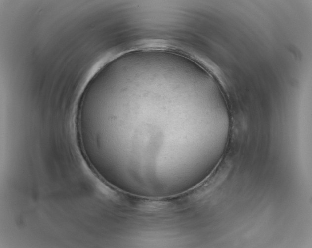 X0000111481475200907141207