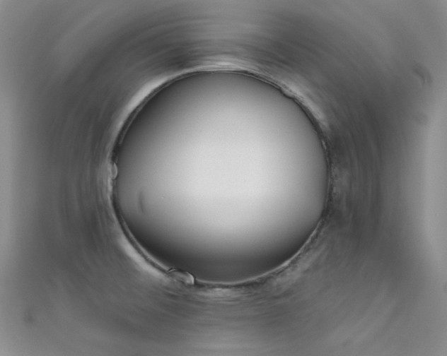 X0000111481476200907141207