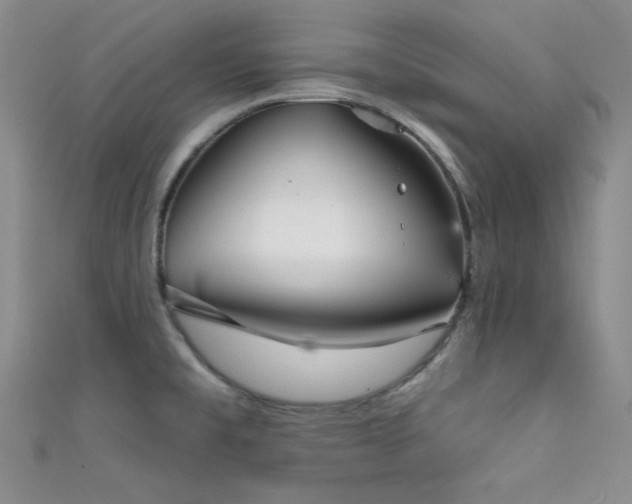 X0000111481477200907141207