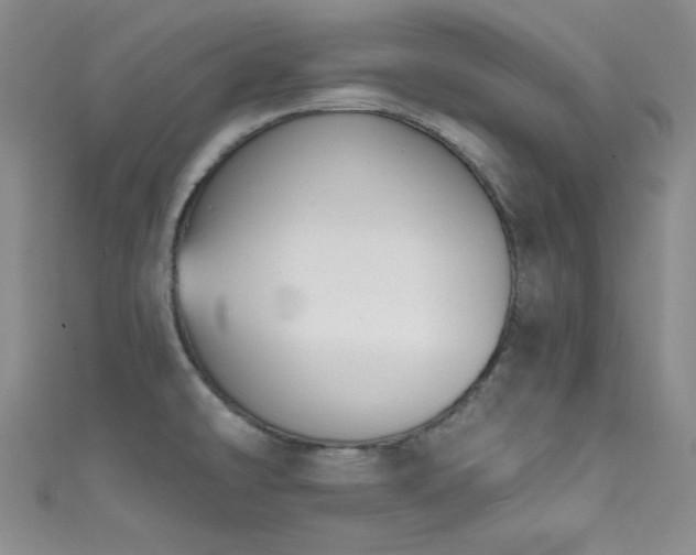 X0000111481478200907141207