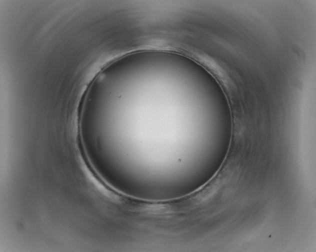 X0000111481479200907141207