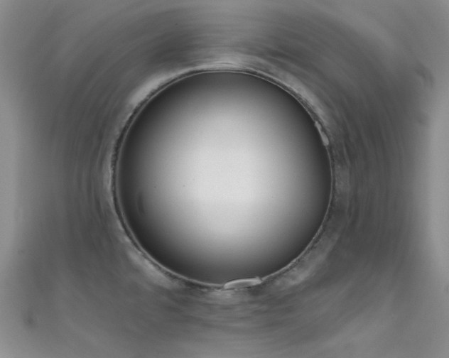 X0000111481480200907141207