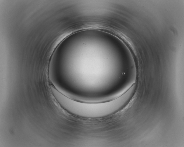 X0000111481481200907141207