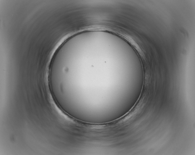 X0000111481484200907141207