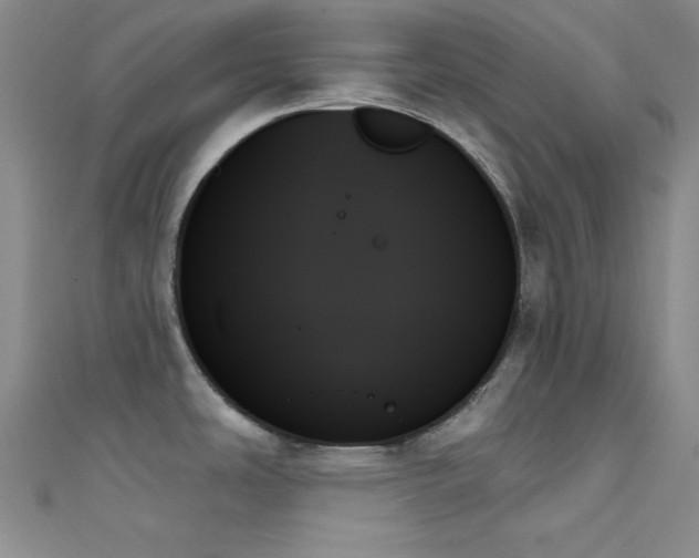 X0000111481486200907141207