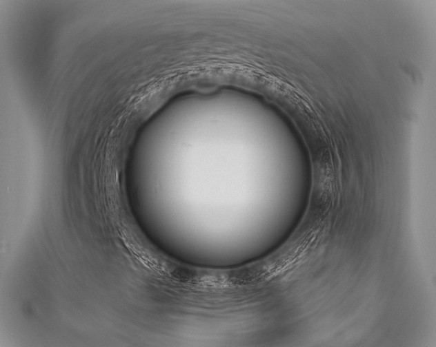 X0000111481489200907141206