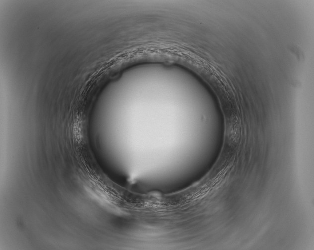 X0000111481490200907141206