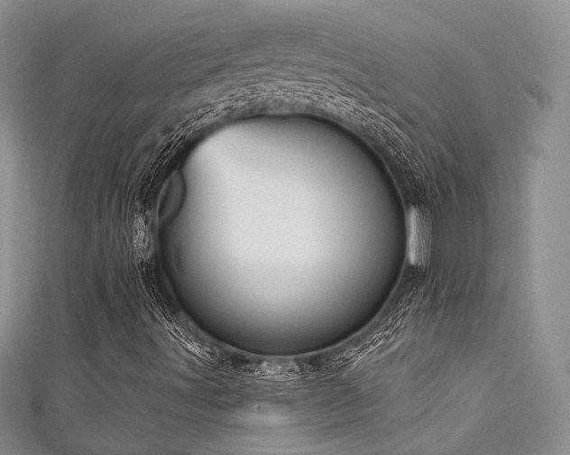 X0000111481491200907141206