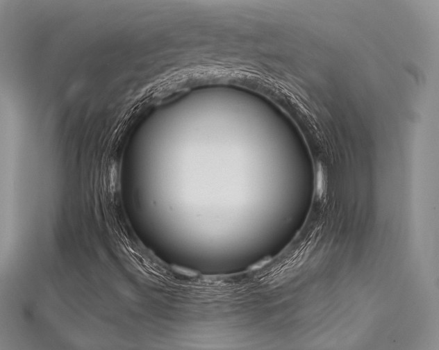 X0000111481492200907141206