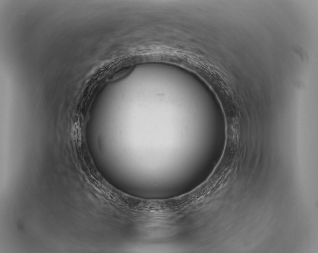 X0000111481493200907141206