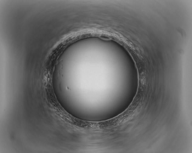 X0000111481495200907141206