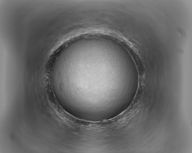 X0000111481496200907141206