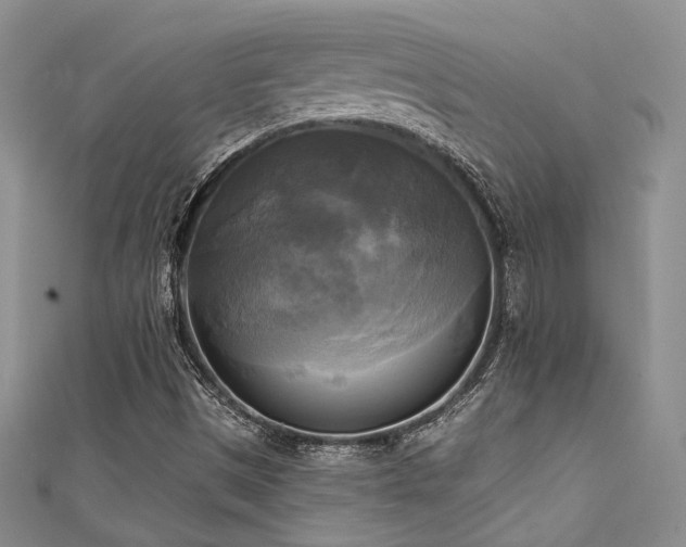 X0000111481497200907141206