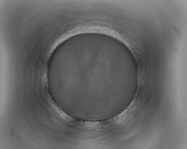 X0000111481498200907141206