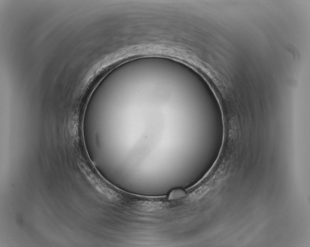 X0000111481499200907141206
