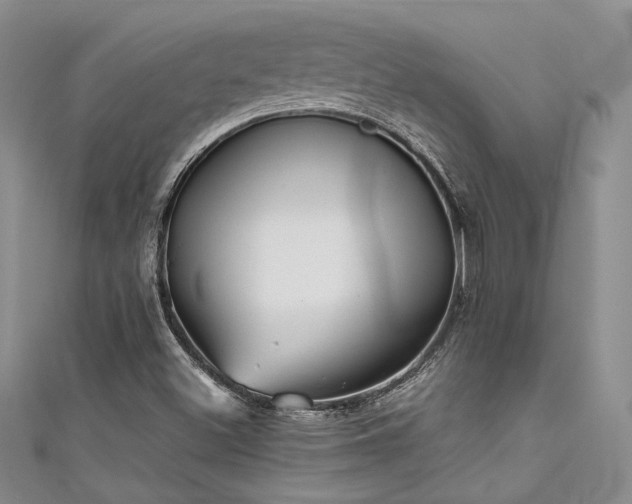 X0000111481500200907141206