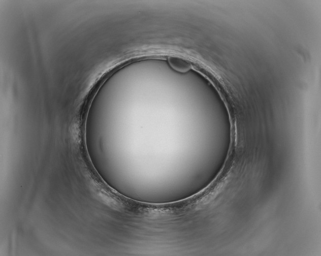 X0000111481501200907141206