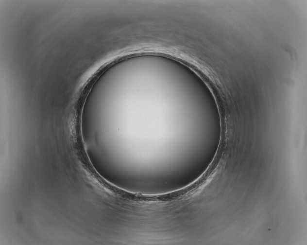 X0000111481502200907141206