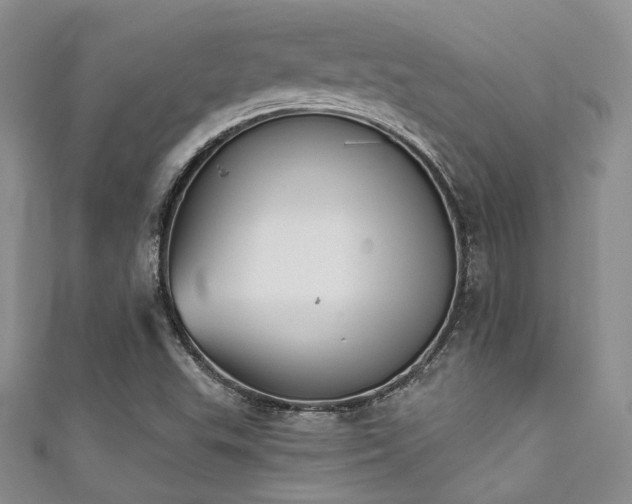 X0000111481503200907141206