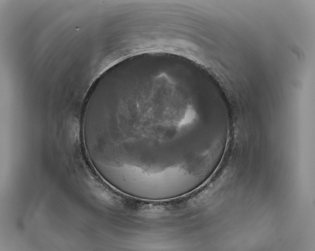 X0000111481505200907141207