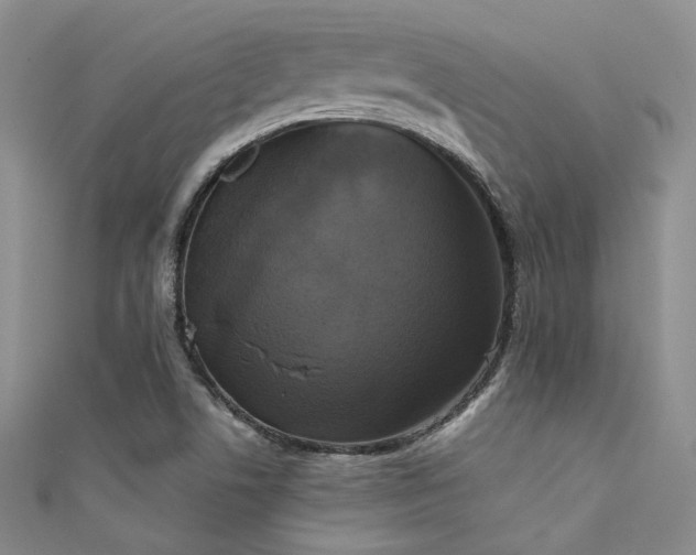 X0000111481506200907141207