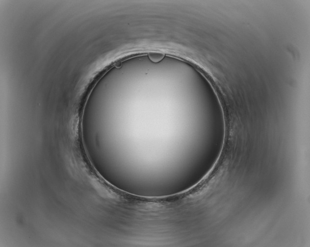 X0000111481507200907141207