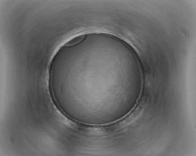 X0000111481508200907141207