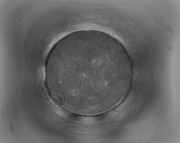 X0000111481509200907141207