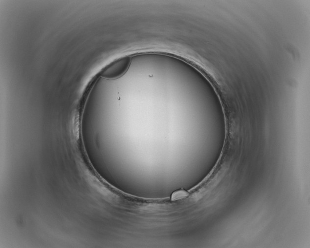 X0000111481510200907141207