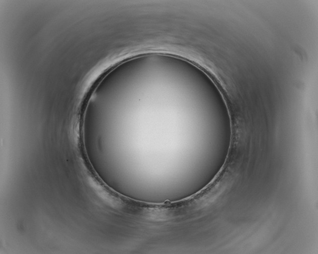 X0000111481511200907141207