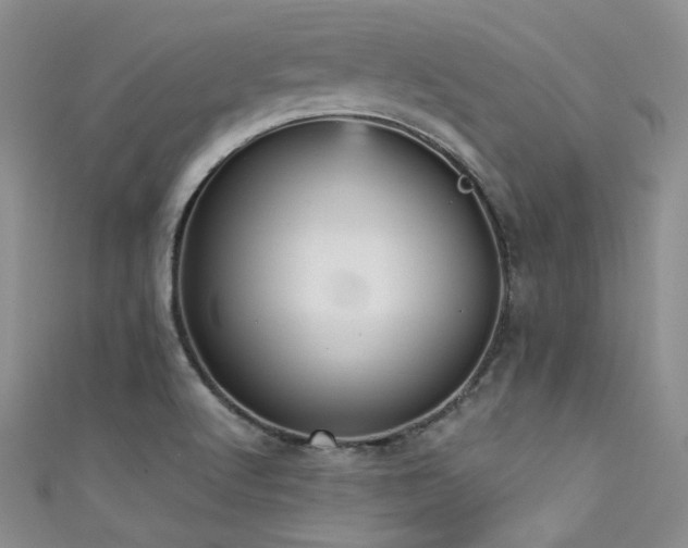 X0000111481512200907141207