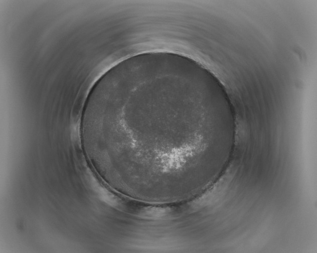 X0000111481513200907141207