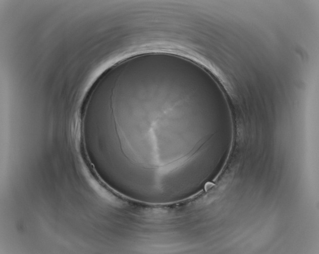 X0000111481515200907141207