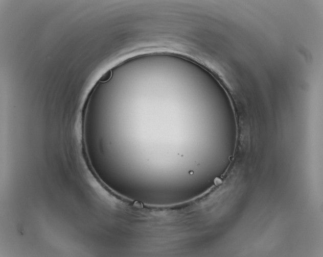 X0000111481516200907141207